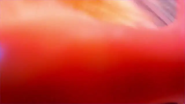 Eva Davi online show from 23, 3, 2026