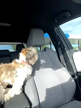 SafeinouterSpace online show from 26, 11, 2025