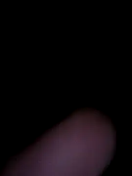 Off the Lesh online show from 15, 1, 2026