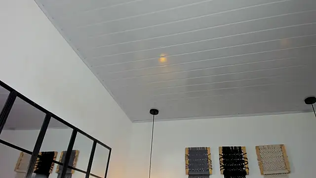 Snapshot of Sweet_camille chatting on 12, 1, 2026 Sweet camille online show from 12, 1, 2026