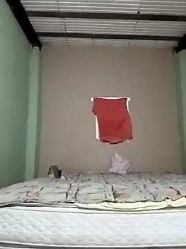 Michellluxo online show from 17, 2, 2026