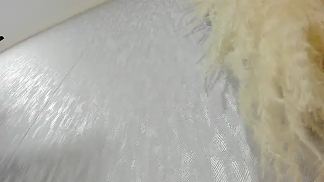 Lissalittlee online show from 22, 10, 2025