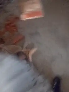 Kurtsikicixh online show from 5, 11, 2025