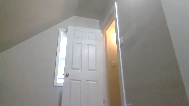 AllLeggs online show from 4, 12, 2024