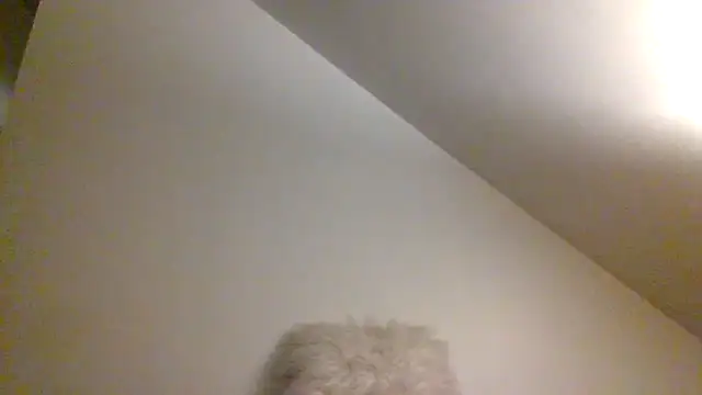 AllLeggs online show from 9, 12, 2024