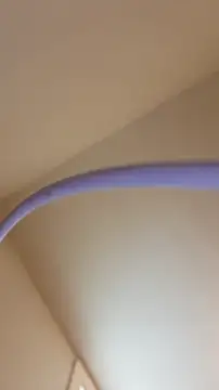 AllLeggs online show from 21, 5, 2026