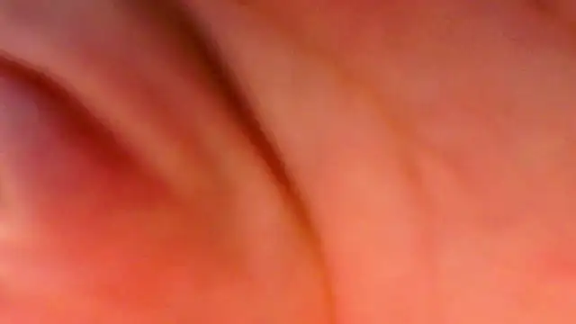 GattonaBiondona online show from 3, 12, 2025