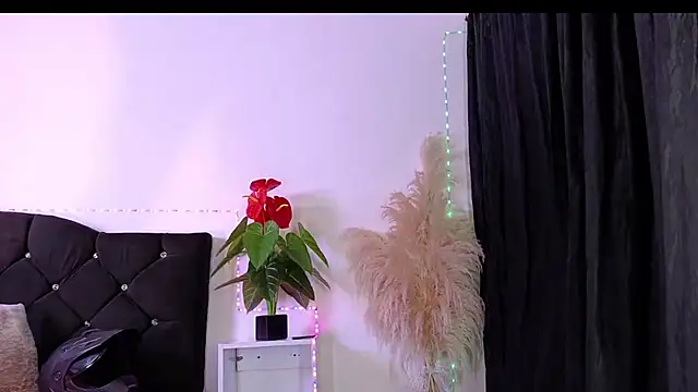 john cartter1 online show from 12, 1, 2026