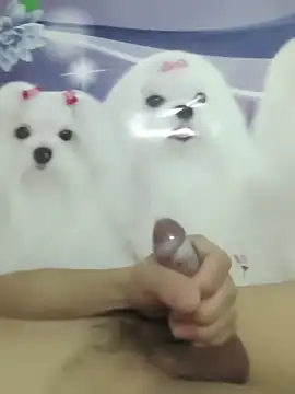 826687 online show from 2, 3, 2026