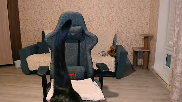 PDiddy  online show from 15, 2, 2025