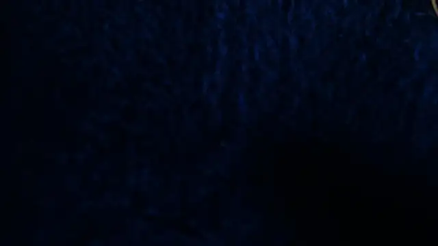 LilithSmith  online show from 2, 2, 2026