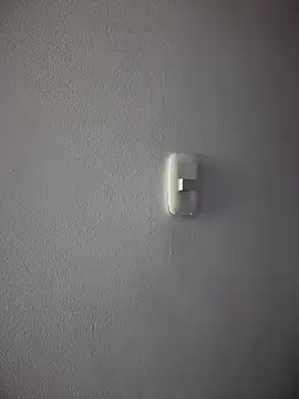 carolina  star online show from 17, 11, 2025