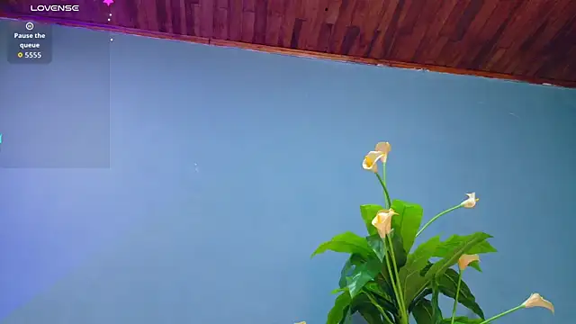 french sexx online show from 18, 9, 2025