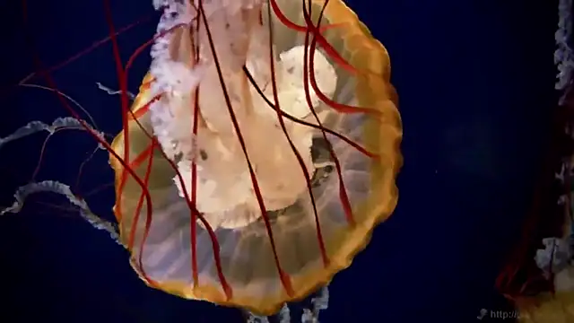 Snapshot of streamy_test11 chatting on 14, 2, 2025 streamy test11 online show from 14, 2, 2025