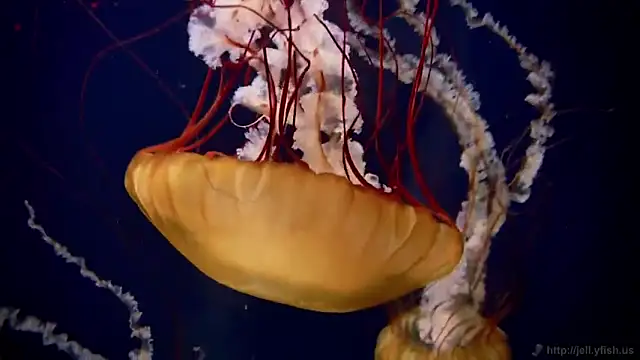 Snapshot of streamy_test11 chatting on 12, 2, 2026 streamy test11 online show from 12, 2, 2026