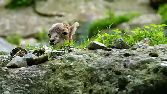 Snapshot of streamy_test11 chatting on 11, 2, 2025 streamy test11 online show from 11, 2, 2025