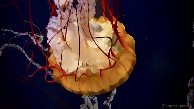 Snapshot of streamy_test15 chatting on 22, 9, 2025 streamy test15 online show from 22, 9, 2025