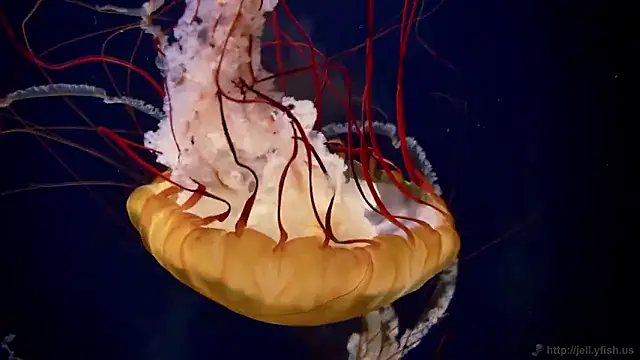 Snapshot of streamy_test15 chatting on 5, 2, 2026 streamy test15 online show from 5, 2, 2026