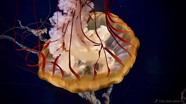 Snapshot of streamy_test15 chatting on 27, 2, 2026 streamy test15 online show from 27, 2, 2026