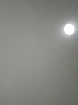 Amber Rush  online show from 8, 9, 2025