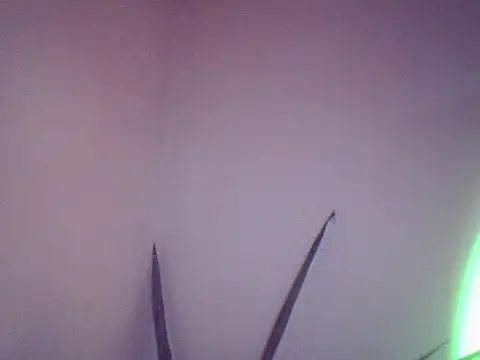 Malandralle online show from 1, 12, 2025