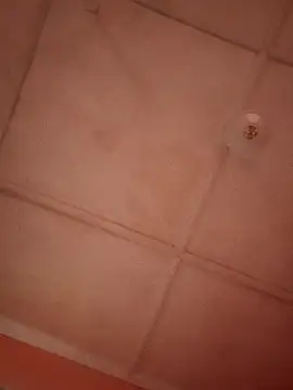 bebsexy online show from 14, 12, 2025