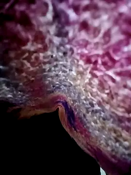 Snapshot of morenogts69 chatting on 24, 10, 2025 morenogts69 online show from 24, 10, 2025