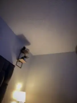 Snapshot of Carlita_cute chatting on 19, 3, 2025 Carlita cute online show from 19, 3, 2025