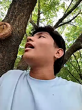  Ottis  online show from 8, 10, 2025