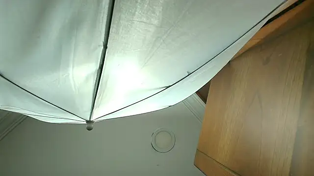 Snapshot of stella_xue chatting on 19, 3, 2025 stella xue online show from 19, 3, 2025