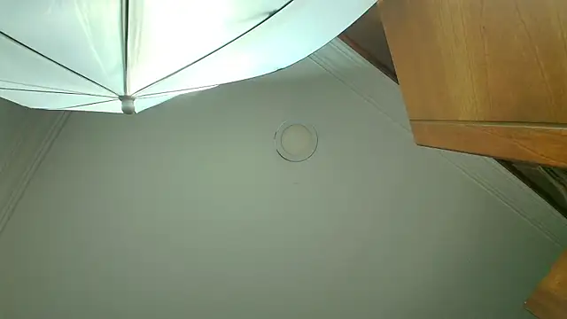 Snapshot of stella_xue chatting on 20, 3, 2025 stella xue online show from 20, 3, 2025