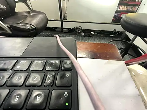 RawRyder8 online show from 13, 12, 2025