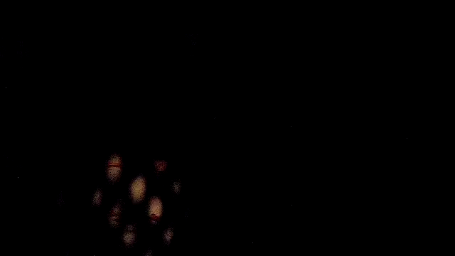 RawRyder8 online show from 24, 2, 2026