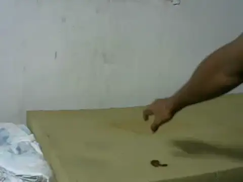 michel sc online show from 8, 10, 2025