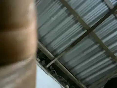 michel sc online show from 11, 3, 2025