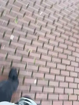 0maxx00 online show from 19, 12, 2024