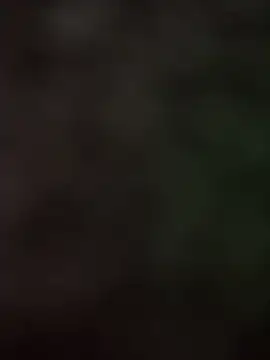 Snapshot of Samarth_0081 chatting on 17, 9, 2025 Samarth 0081 online show from 17, 9, 2025