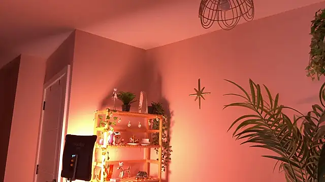  vixenp online show from 15, 1, 2026