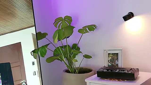 ABY509 online show from 20, 3, 2026