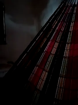 PIKAdePAU27 online show from 24, 12, 2024