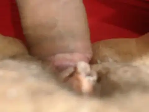 Snapshot of lolamike19 chatting on 18, 11, 2025 lolamike19 online show from 18, 11, 2025