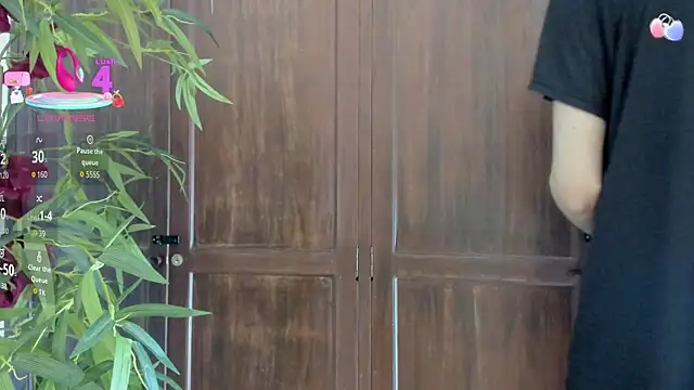 Black Rose2 online show from 4, 10, 2025