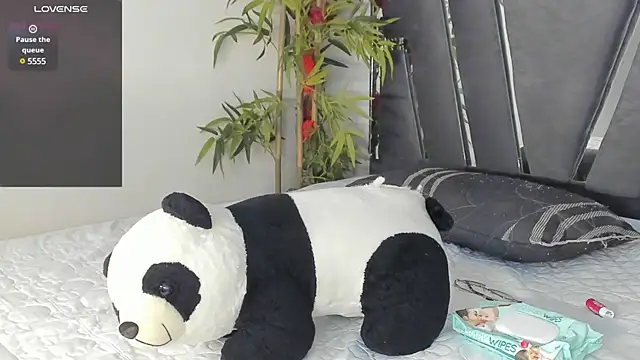 Black Rose2 online show from 13, 3, 2025