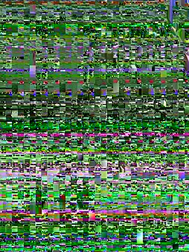 Casaloculttoo online show from 26, 5, 2026
