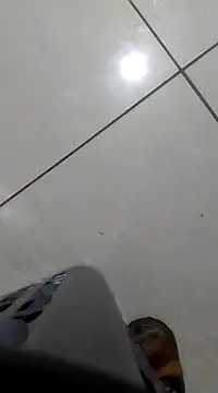 bogbosdick online show from 21, 2, 2025