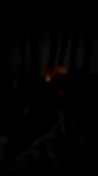 bogbosdick online show from 22, 2, 2025