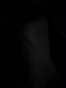 pipeload1275 online show from 20, 11, 2025