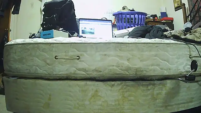 pipeload1275 online show from 30, 11, 2025