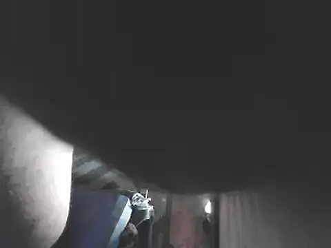 pipeload1275 online show from 20, 11, 2025