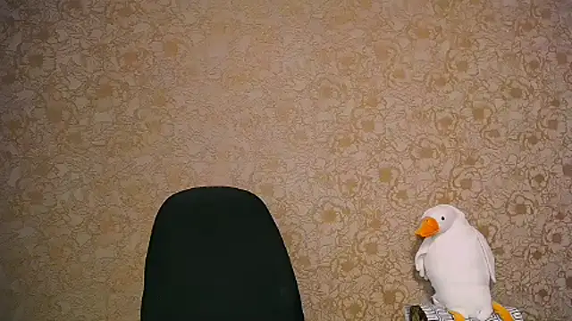 Snapshot of _your_fantasy_girl chatting on 27, 2, 2025 your fantasy girl online show from 27, 2, 2025